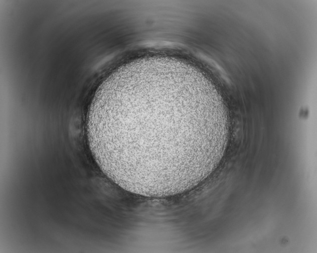 X0000102810966200809150948