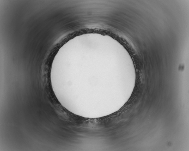 X0000102810968200809150948