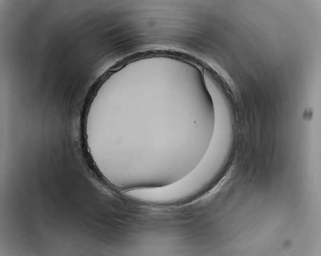 X0000102810969200809150948