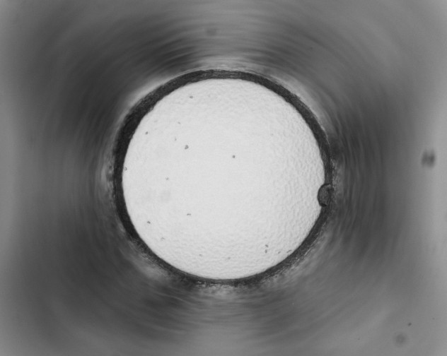 X0000102810971200809150948