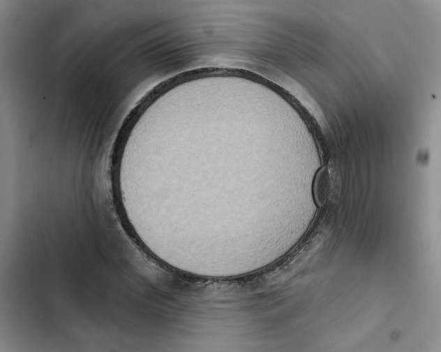 X0000102810972200809150948