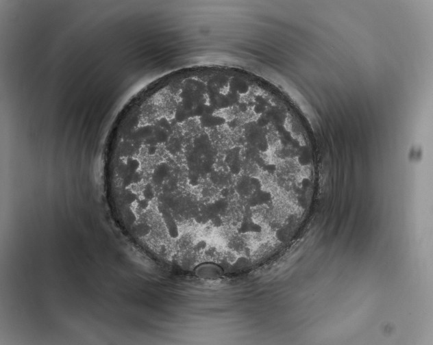 X0000102810975200809150948