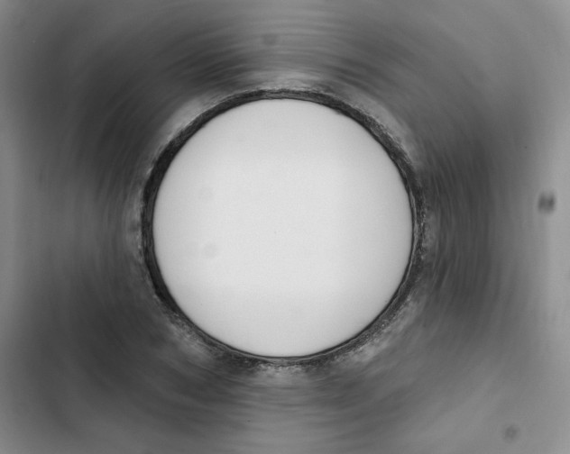 X0000102810978200809150948