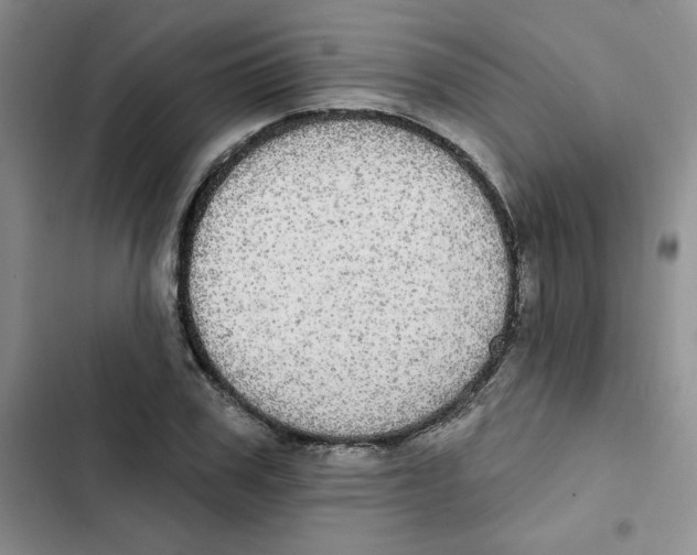 X0000102810979200809150948