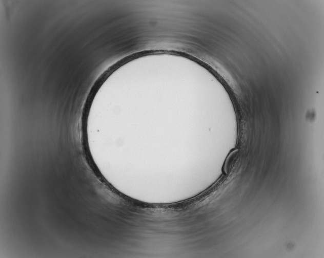 X0000102810980200809150948