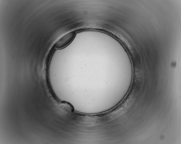 X0000102810981200809150948