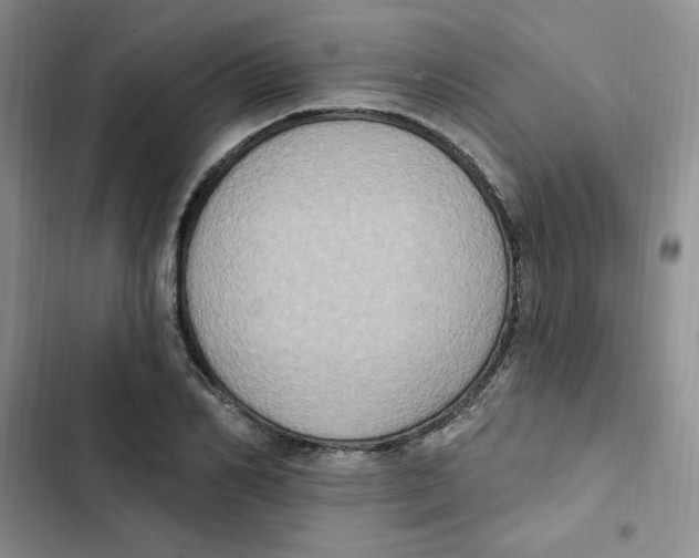 X0000102810982200809150948