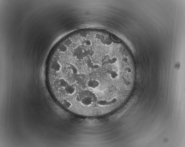 X0000102810983200809150948