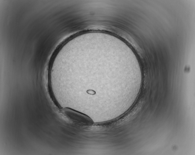 X0000102810984200809150948