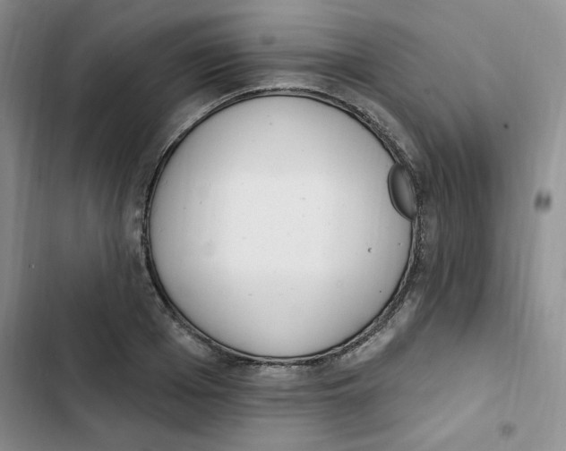 X0000102810985200809150948