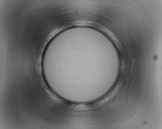 X0000102810986200809150948