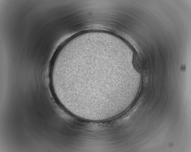 X0000102810987200809150948