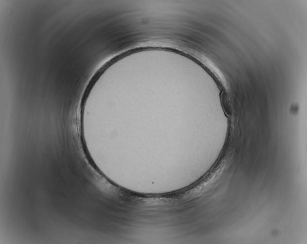 X0000102810988200809150948