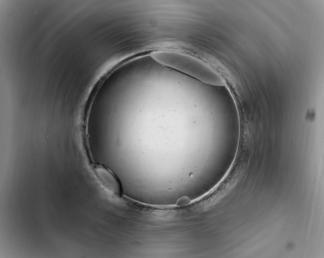 X0000102810989200809150948