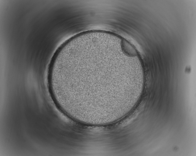 X0000102810991200809150948