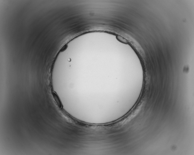 X0000102810993200809150948