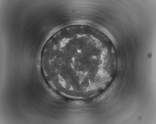 X0000102810994200809150948