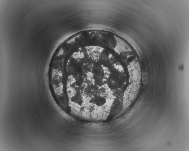 X0000102810995200809150947