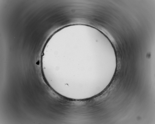 X0000102810996200809150947