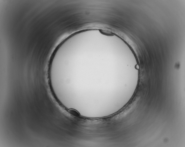 X0000102810997200809150947