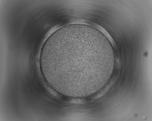 X0000102811002200809150947