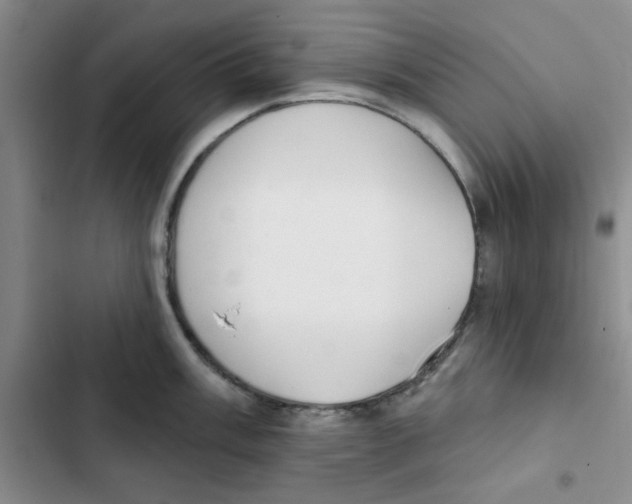 X0000102811003200809150947