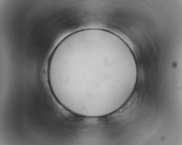 X0000102811006200809150947