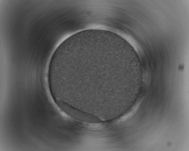 X0000102811007200809150947