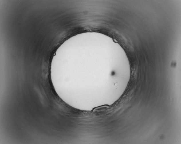 X0000102811012200809150947