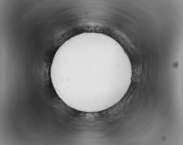 X0000102811013200809150947