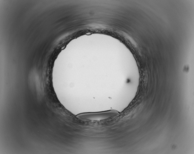 X0000102811016200809150947