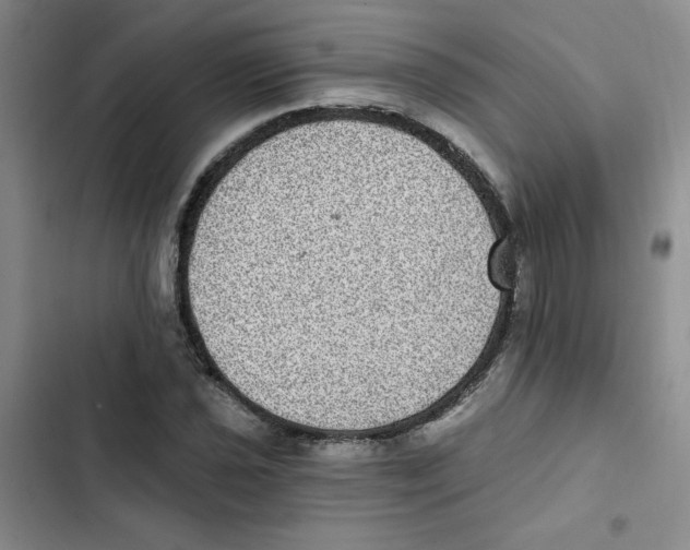 X0000102811021200809150947