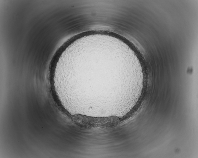 X0000102811022200809150947