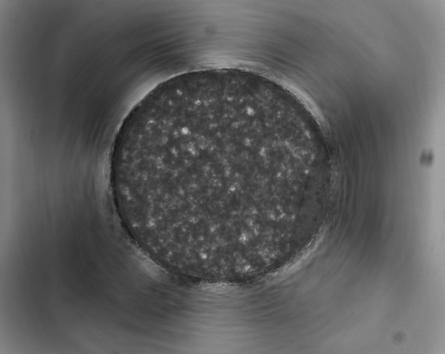 X0000102811023200809150947