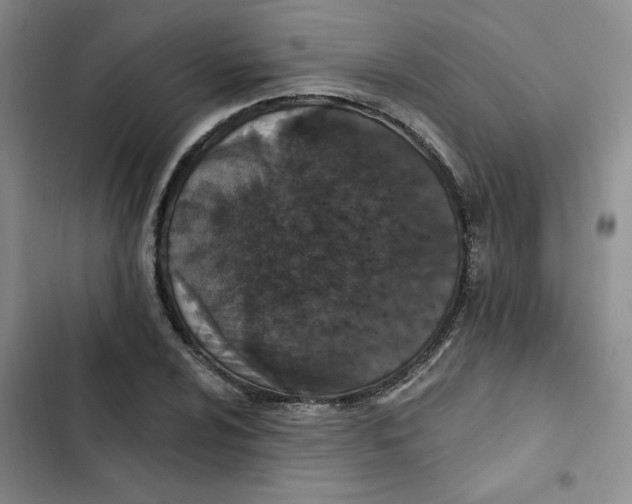 X0000102811024200809150947