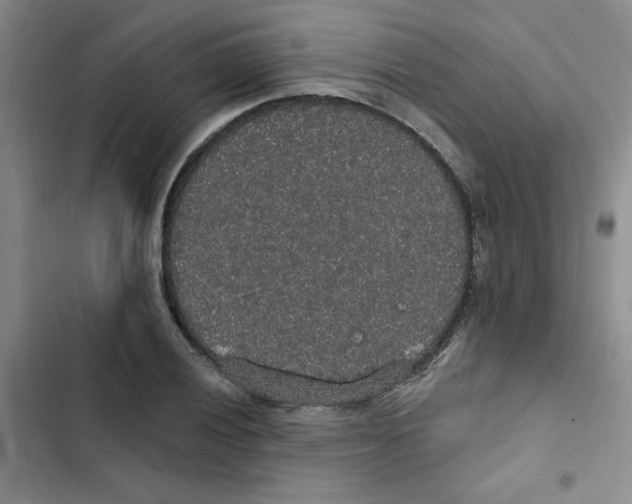 X0000102811028200809150947