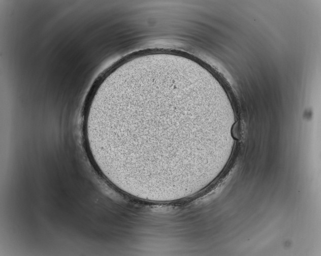 X0000102811029200809150947