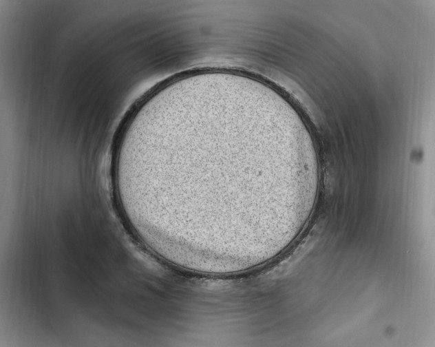 X0000102811030200809150947