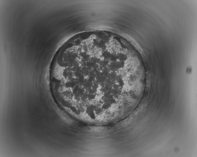 X0000102811031200809150947