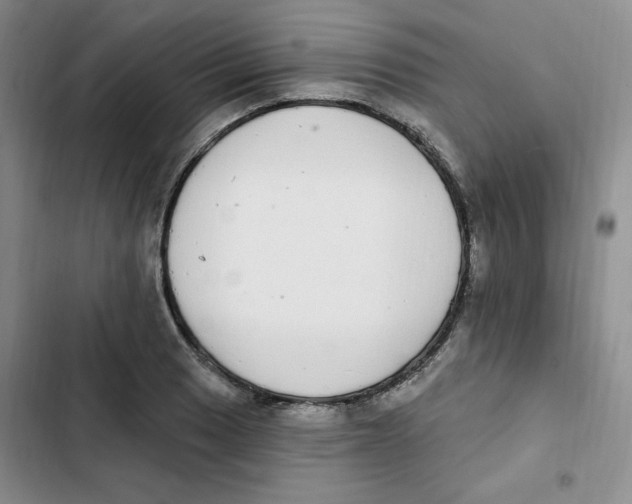 X0000102811033200809150947