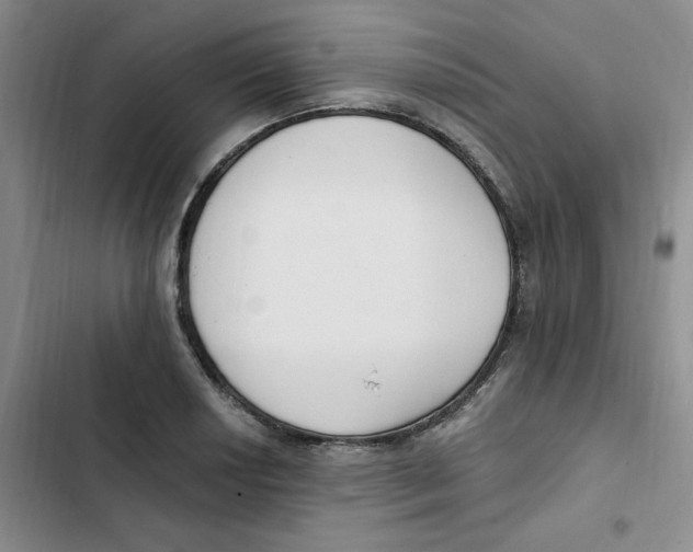 X0000102811034200809150947