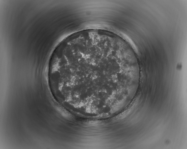 X0000102811035200809150947