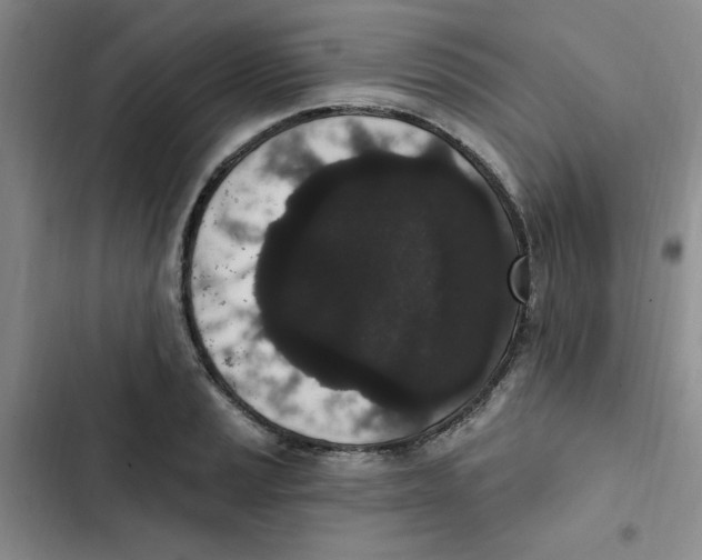 X0000102811037200809150947