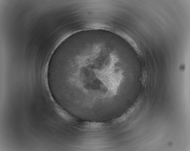 X0000102811039200809150947