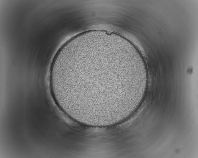 X0000102811040200809150947