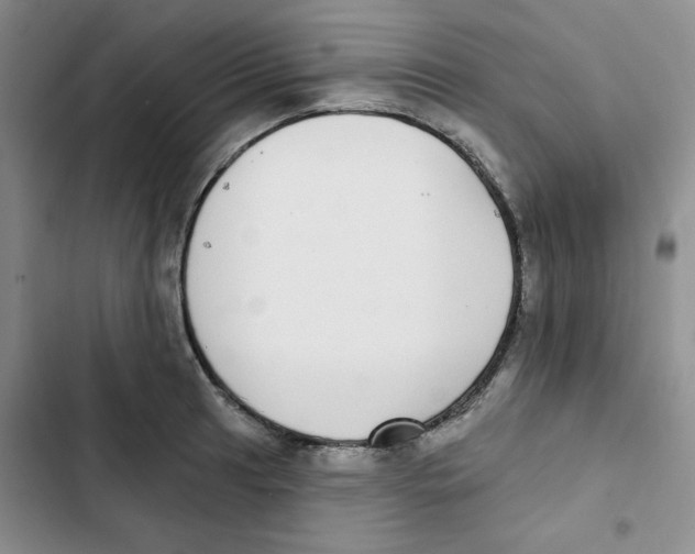 X0000102811041200809150947