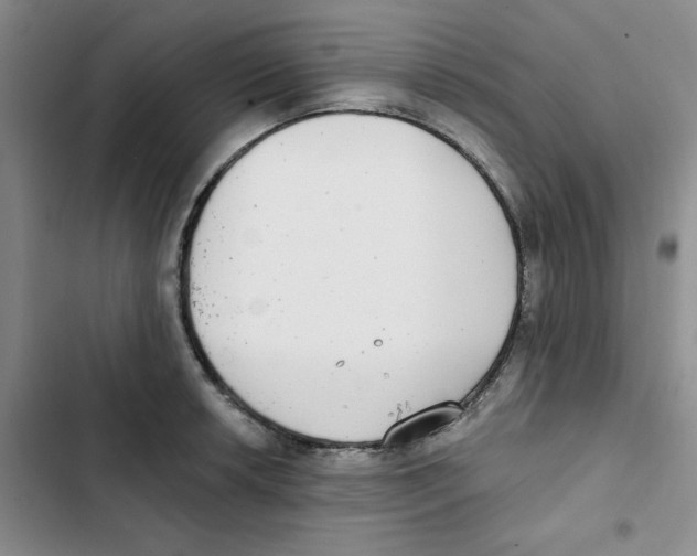 X0000102811042200809150947