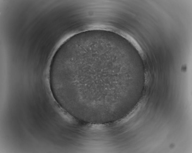 X0000102811043200809150947