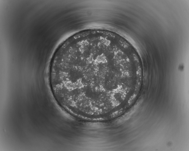 X0000102811045200809150947