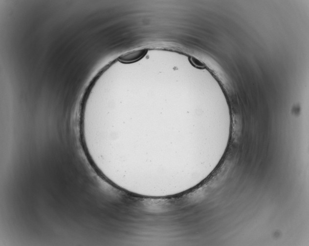 X0000102811046200809150947